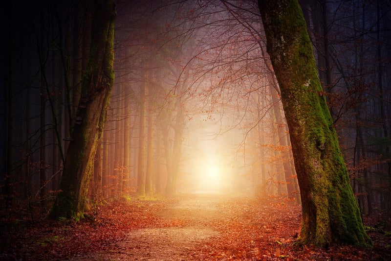 Enchanted Forest Retreat